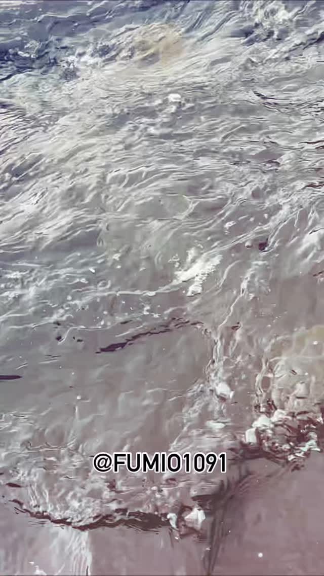 Post 6 by Fumio Hatanaka on Instagram (video)