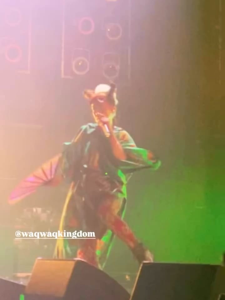 Post 1 by WaqWaq Kingdom わくわく菌倶大無 on Instagram (carousel)