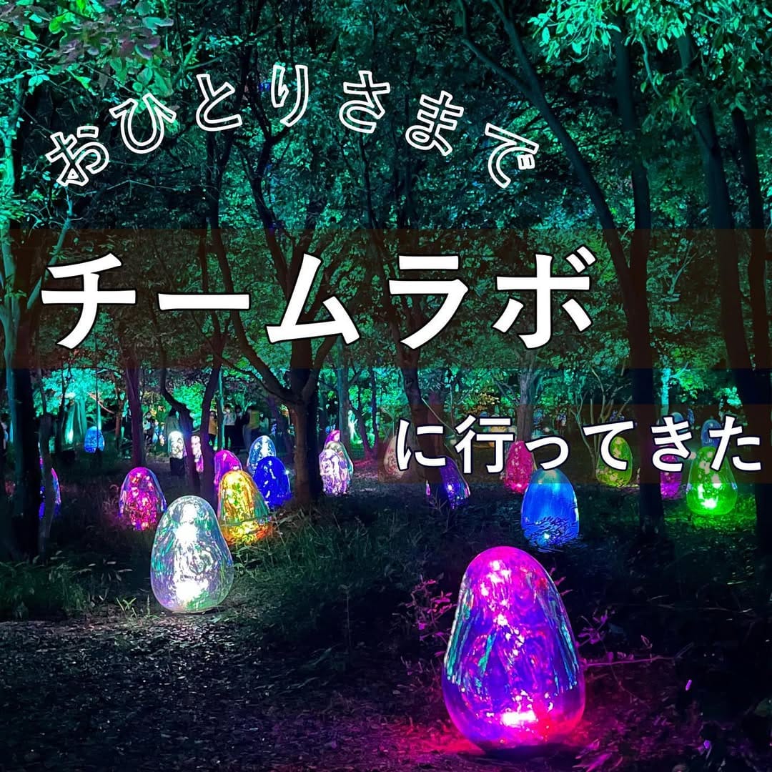 Post 8 by おひとりさまなび。 on Instagram (carousel)