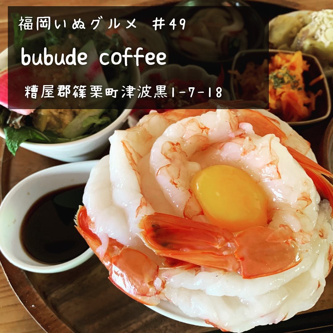 Post 7 by 福岡いぬグルメ／ペット可スポット紹介 on Instagram (carousel)