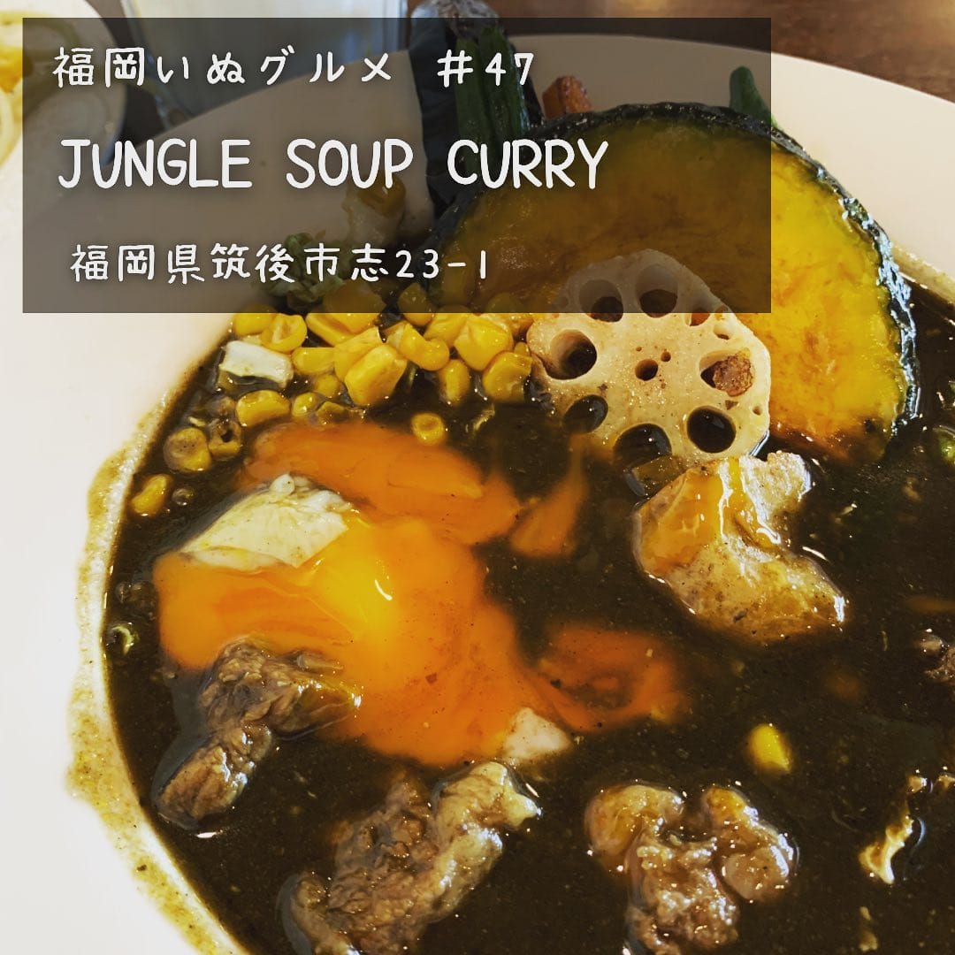 Post 9 by 福岡いぬグルメ／ペット可スポット紹介 on Instagram (carousel)