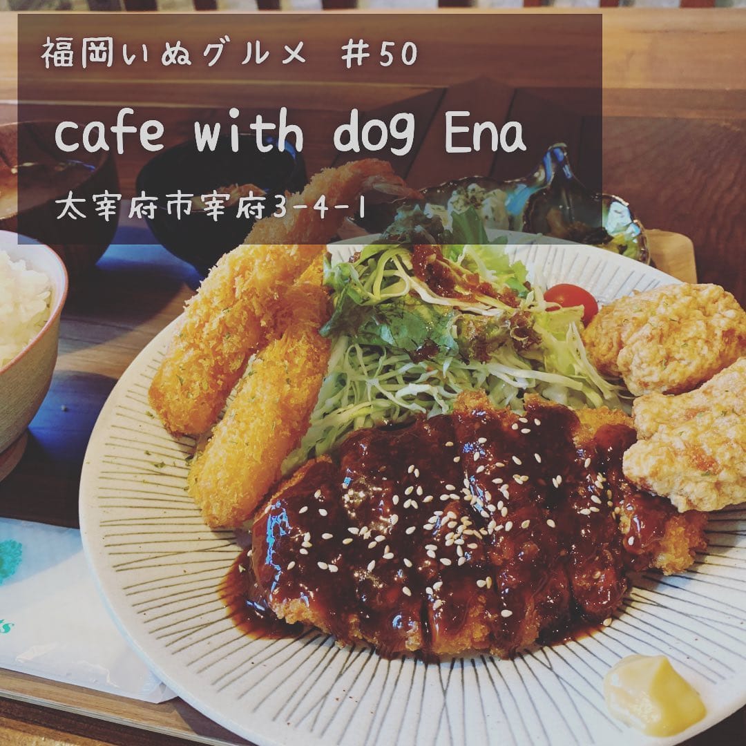 Post 6 by 福岡いぬグルメ／ペット可スポット紹介 on Instagram (carousel)