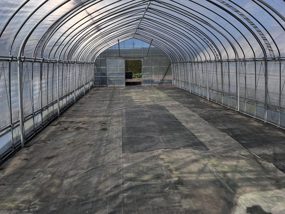 Post 5 by iisago nursery & garden on Instagram (carousel)