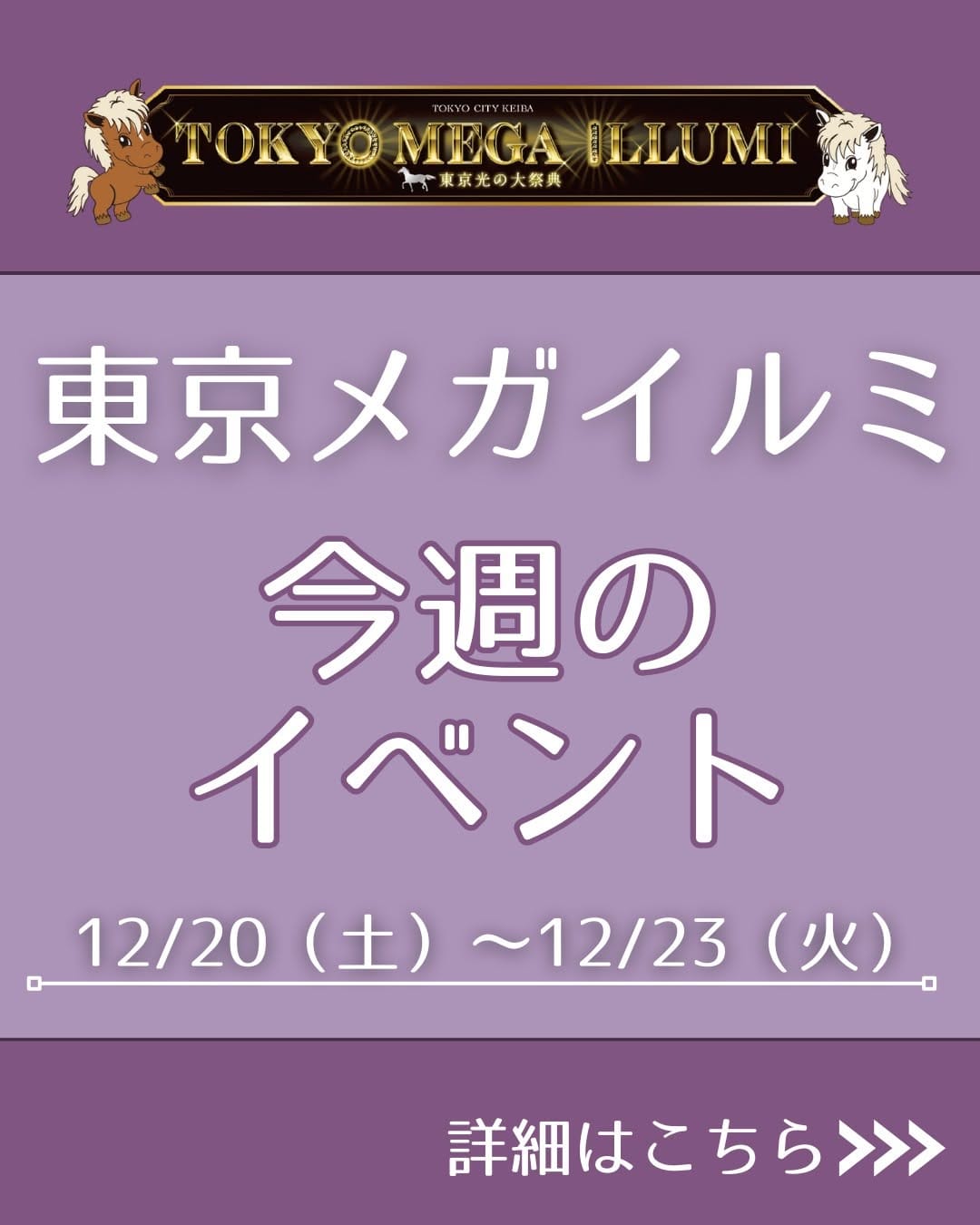 Post 5 by 東京メガイルミ【公式】 on Instagram (carousel)
