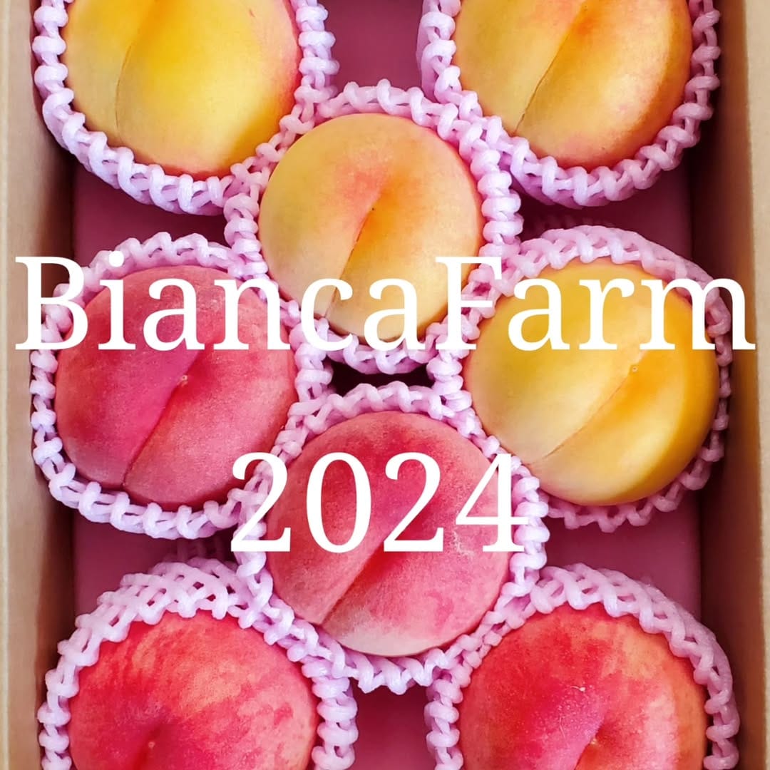 Post 4 by BiancaFarm on Instagram (carousel)
