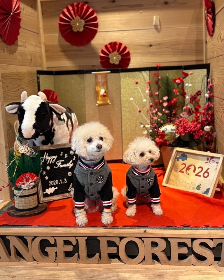 Post 5 by 【公式】エンゼルフォレスト那須 on Instagram (carousel)