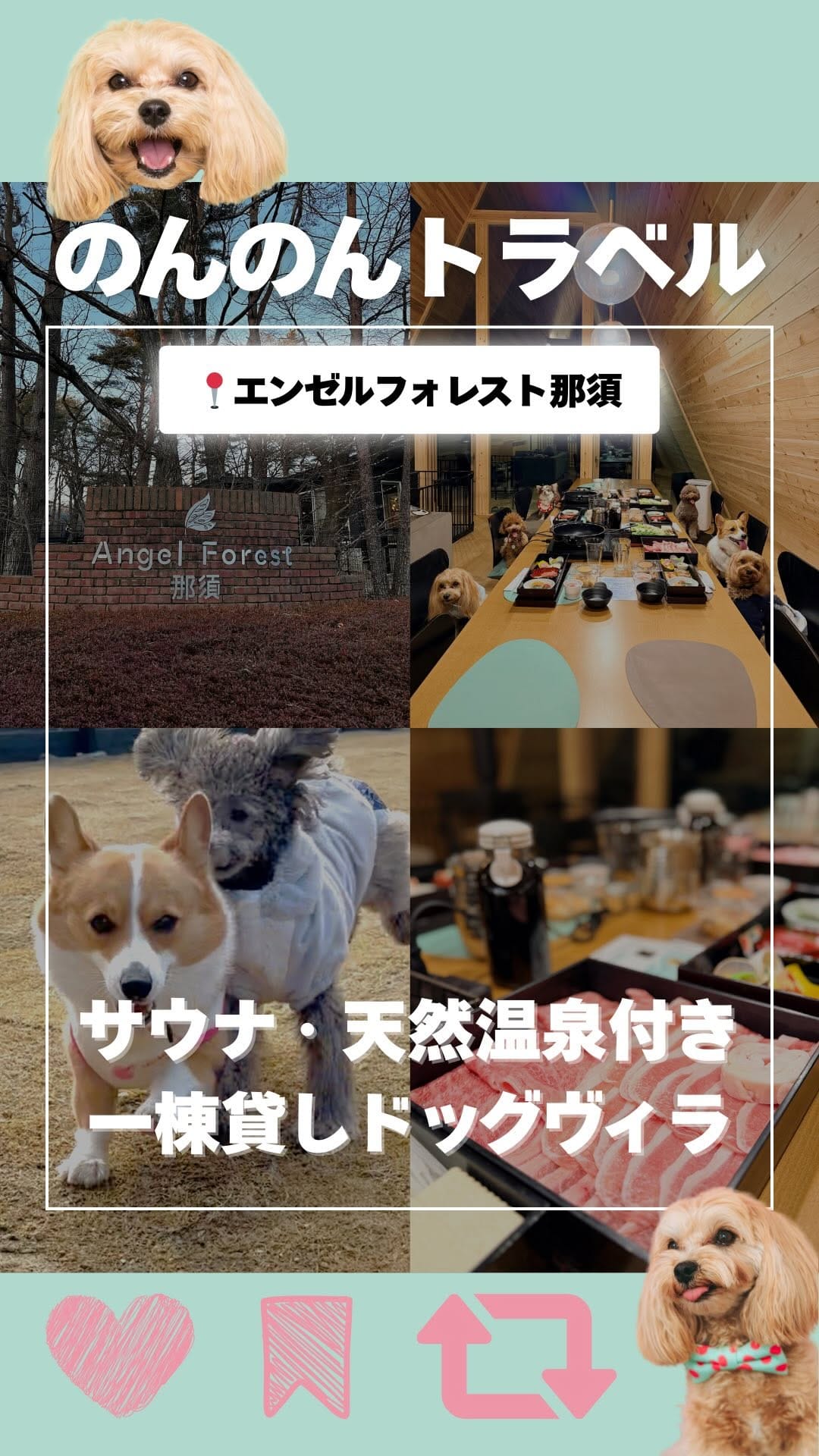Post 6 by 【公式】エンゼルフォレスト那須 on Instagram (video)