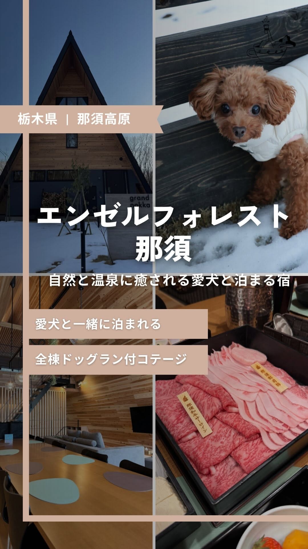 Post 4 by 【公式】エンゼルフォレスト那須 on Instagram (video)