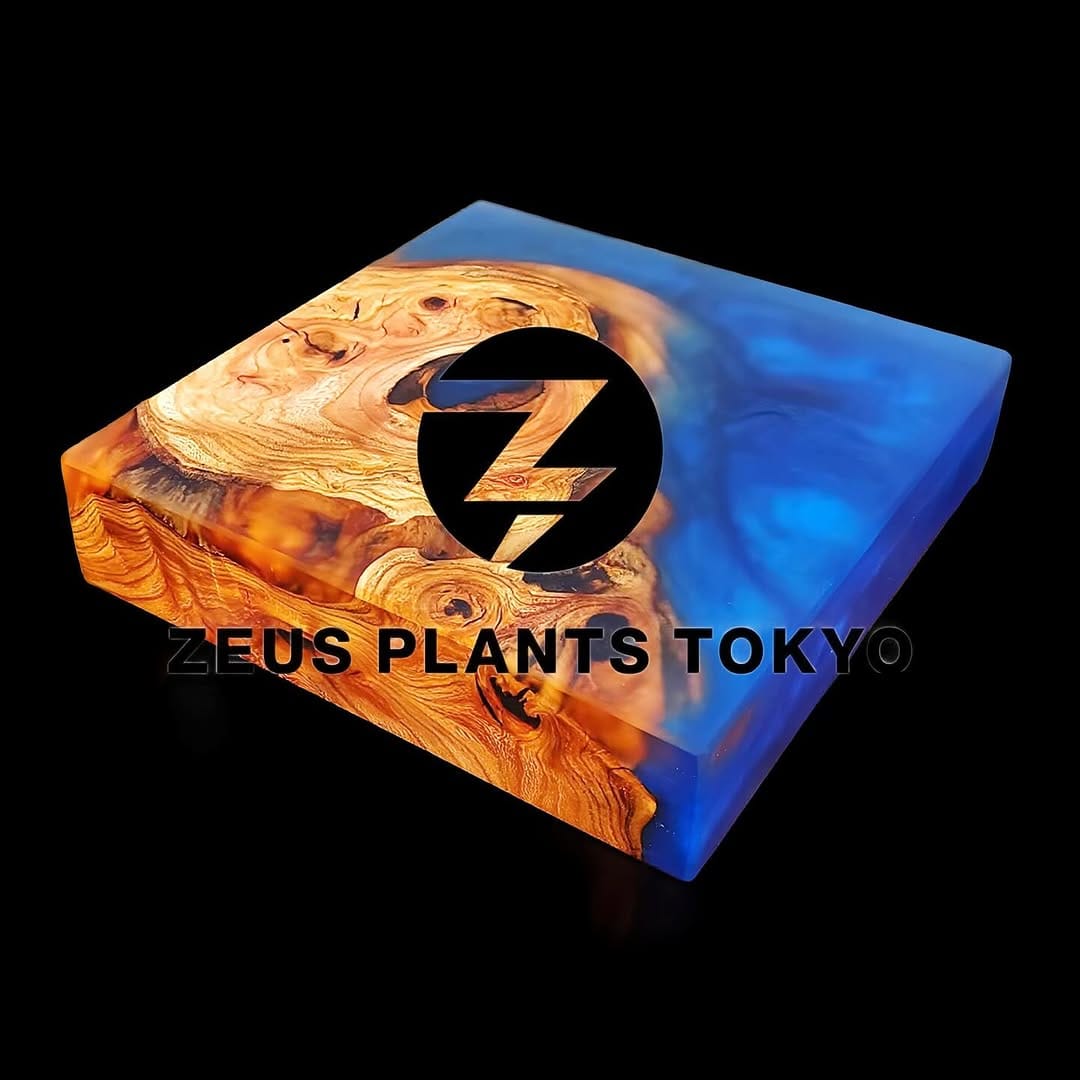 Post 2 by ZEUS PLANTS TOKYO on Instagram (carousel)