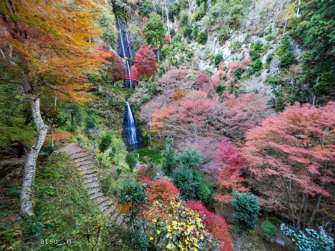 Post 3 by Atsuko nA 🍵静岡県🍊 on Instagram (image)