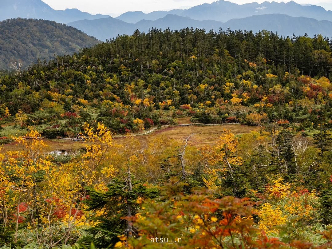 Post 6 by Atsuko nA 🍵静岡県🍊 on Instagram (carousel)