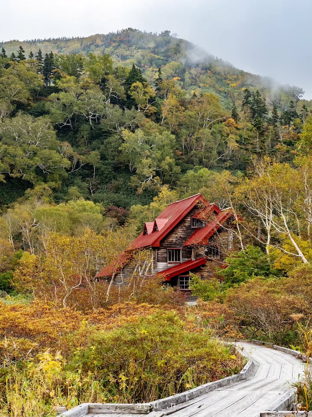Post 7 by Atsuko nA 🍵静岡県🍊 on Instagram (carousel)