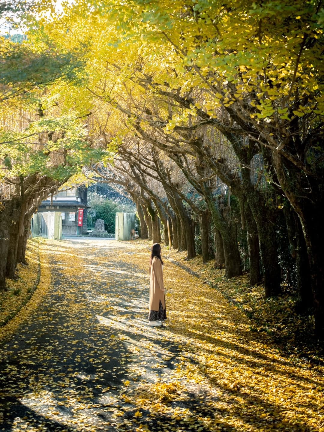 Post 1 by Atsuko nA 🍵静岡県🍊 on Instagram (image)