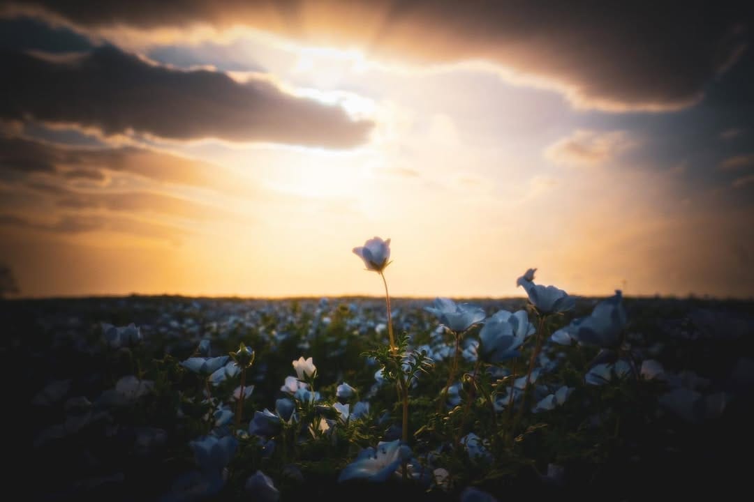 Post 8 by ebi on Instagram (image)