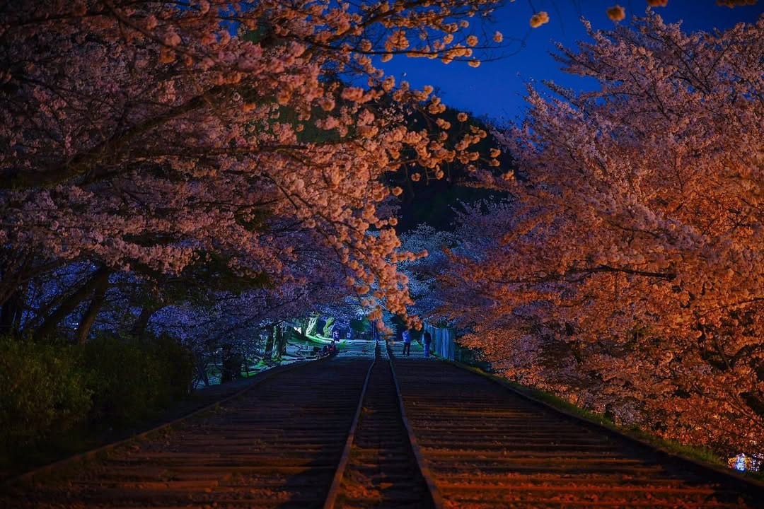 Post 9 by ebi on Instagram (image)