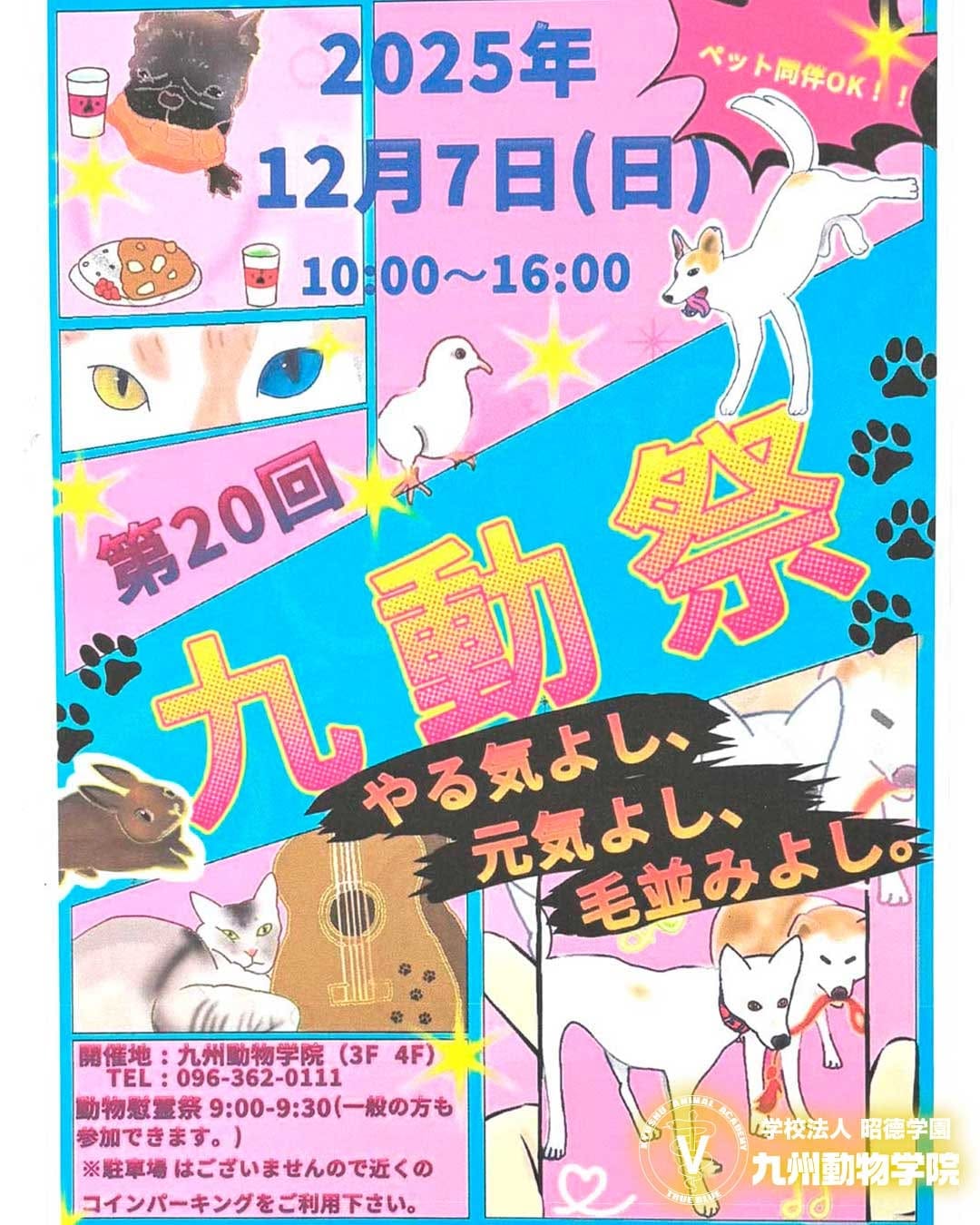 Post 8 by 竜之介動物病院 on Instagram (image)
