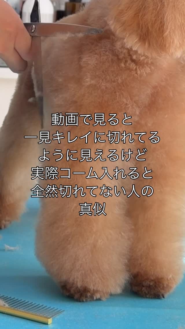 Post 2 by YUKARI UESUGI on Instagram (video)