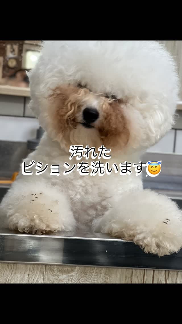 Post 7 by YUKARI UESUGI on Instagram (video)