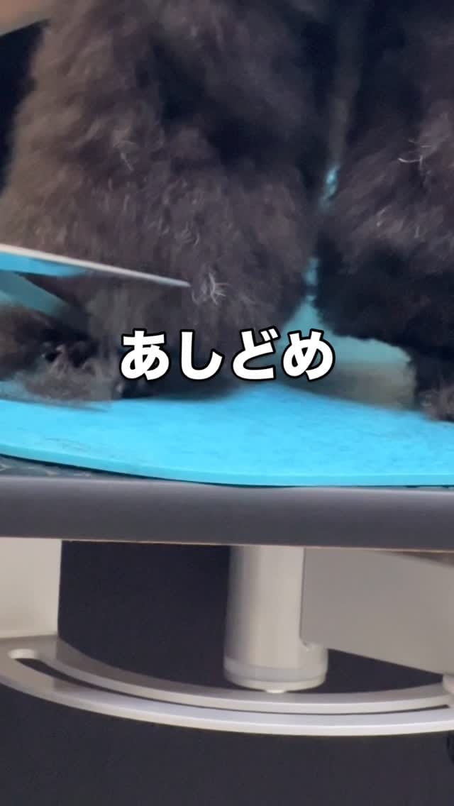 Post 9 by YUKARI UESUGI on Instagram (video)