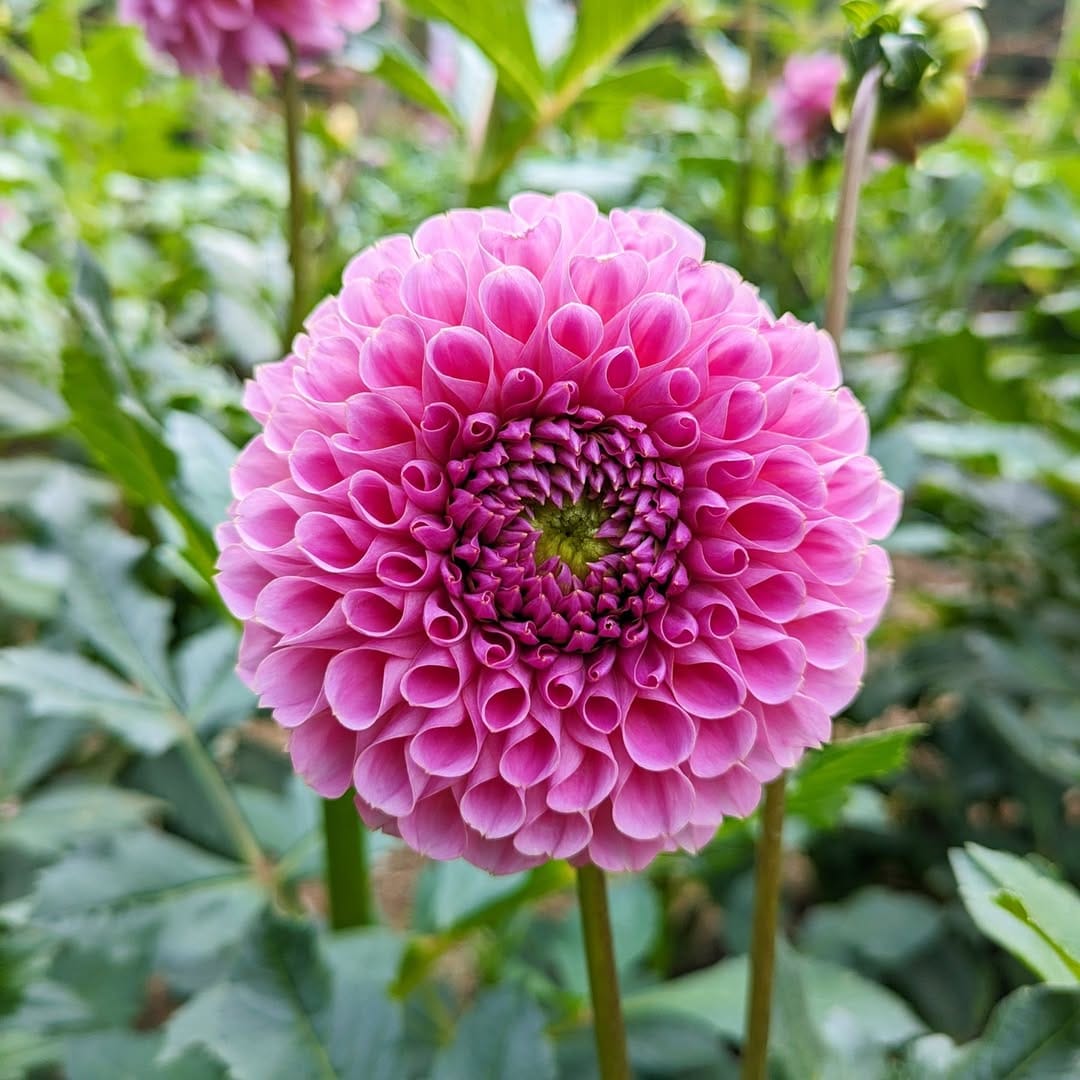 Post 10 by 埼玉県小鹿野町 on Instagram (carousel)