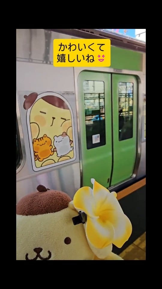 Post 4 by muneyoshi.h on Instagram (video)