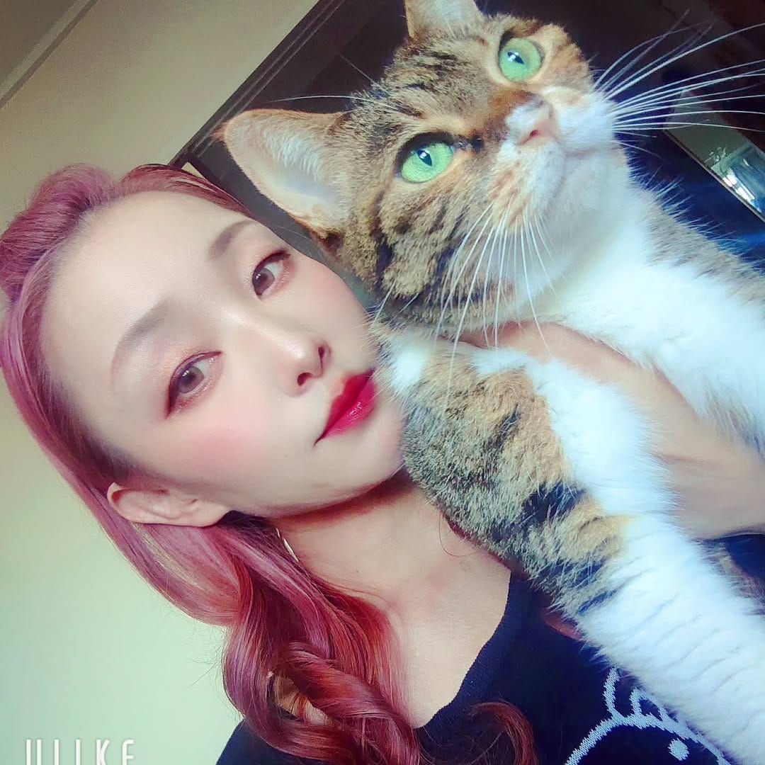 Post 3 by 文筆家を目指す元ノラ猫 | にゃかのまさゆき on Instagram (image)