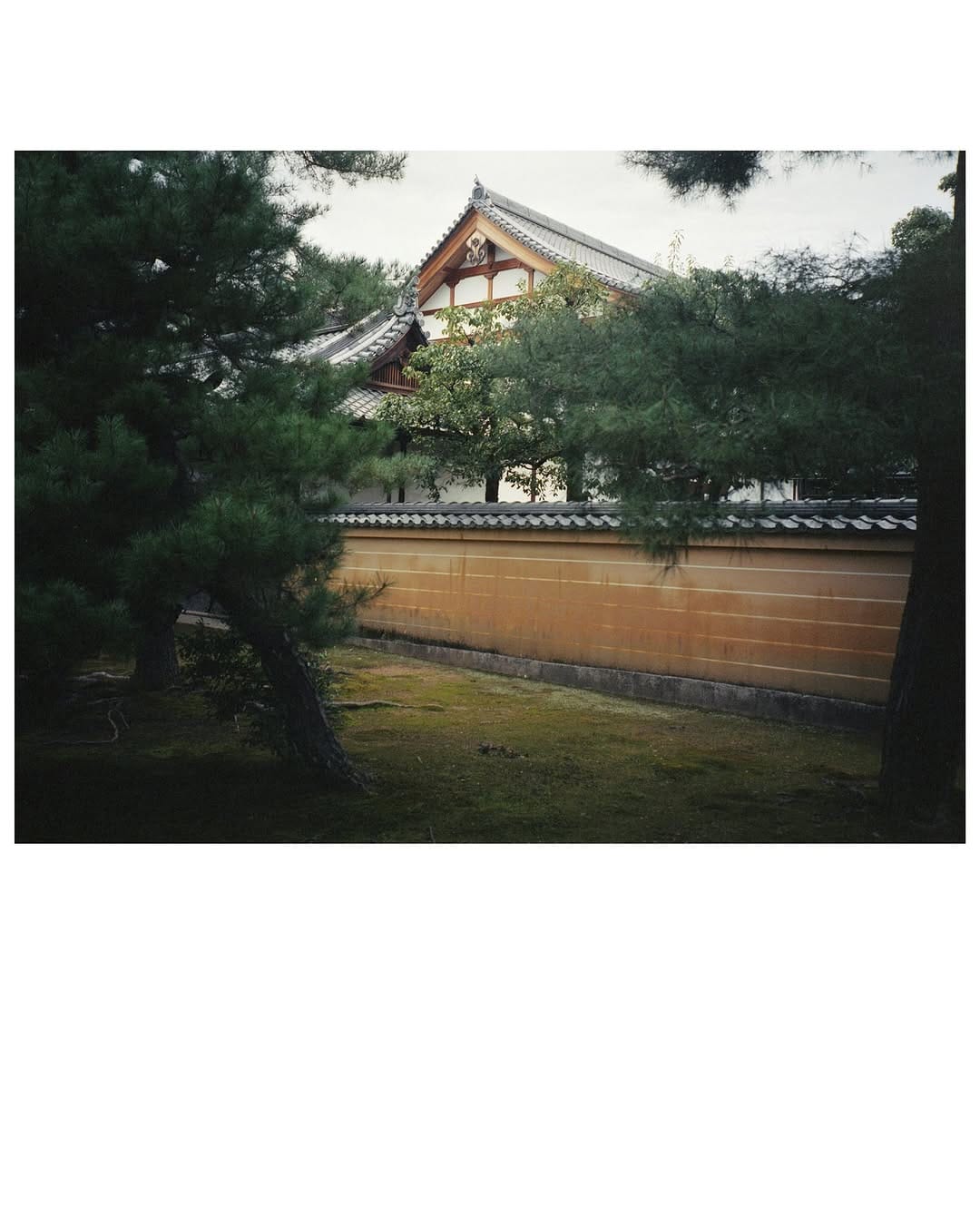 Post 4 by Nipponia Magazine on Instagram (carousel)