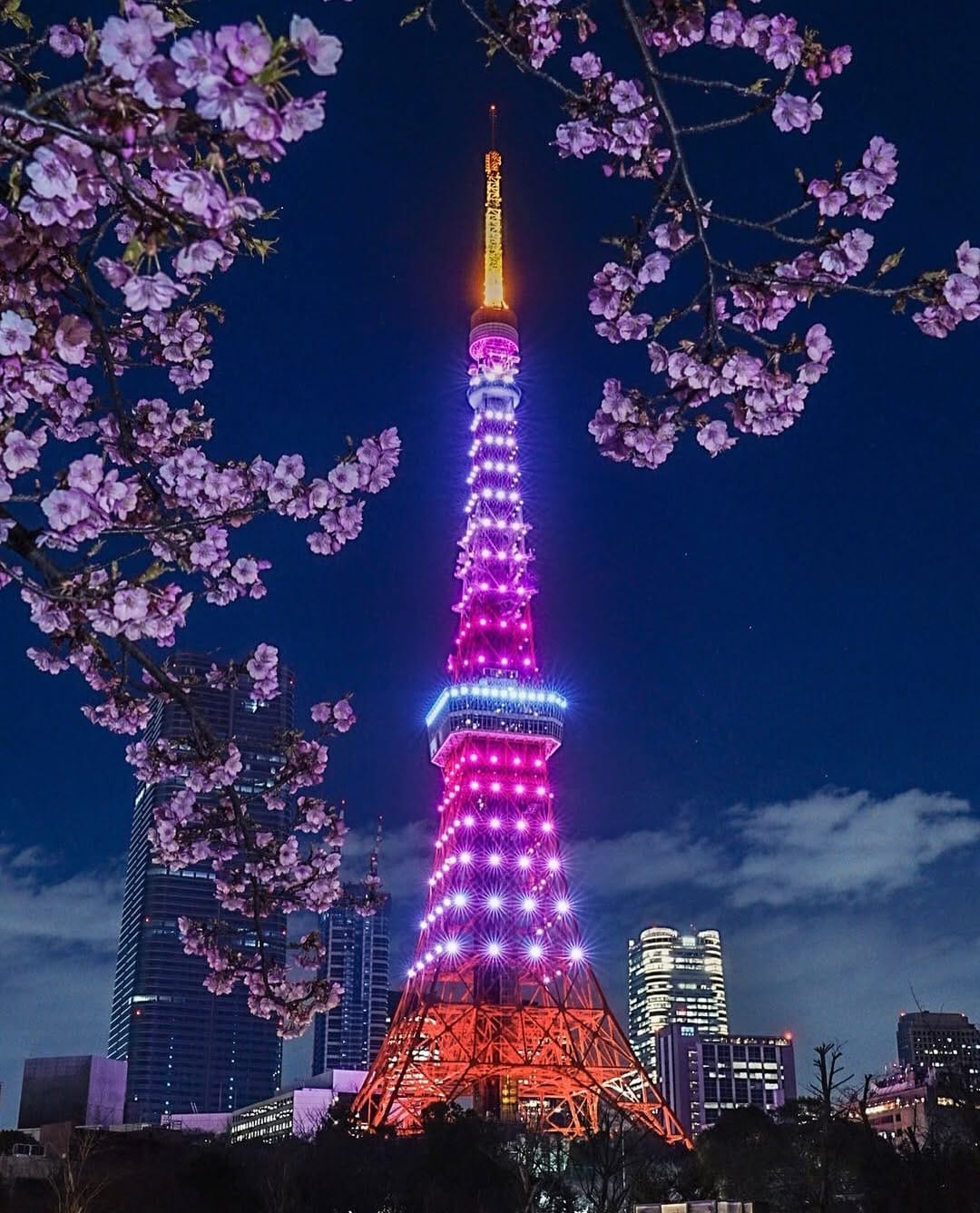 Post 10 by むぅ on Instagram (image)