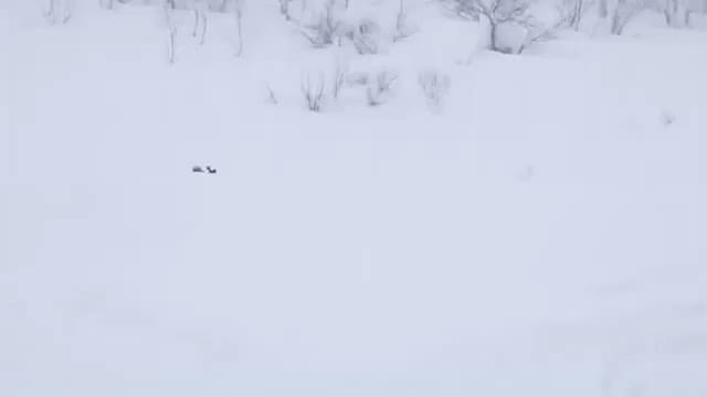Post 6 by JAPAN BACKCOUNTRY. on Instagram (video)