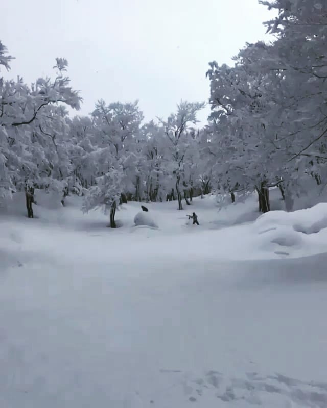 Post 10 by JAPAN BACKCOUNTRY. on Instagram (video)