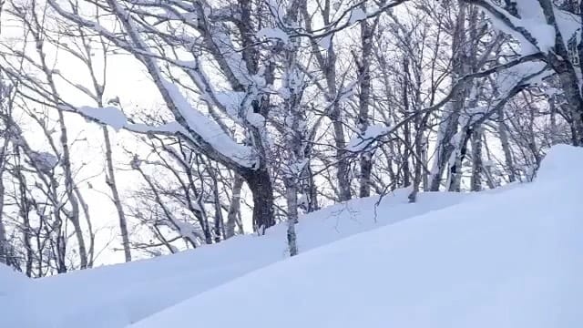 Post 5 by JAPAN BACKCOUNTRY. on Instagram (video)