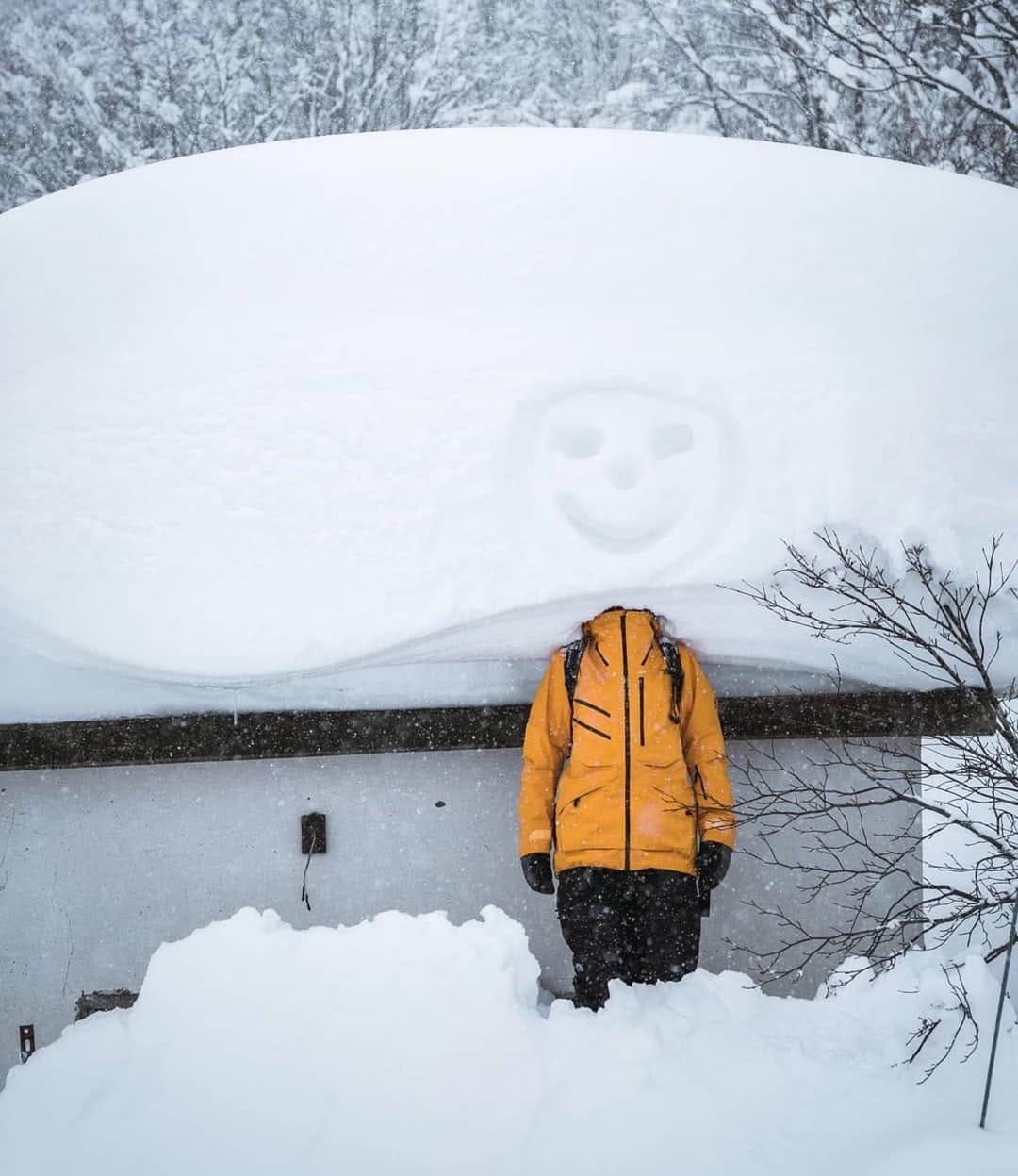 Post 3 by JAPAN BACKCOUNTRY. on Instagram (image)