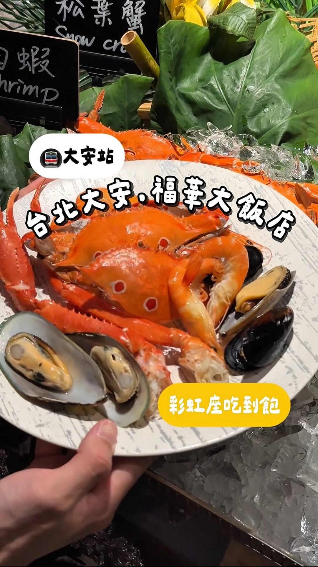 Post 4 by 樂芙🍳｜台北新北美食｜旅遊生活 on Instagram (video)
