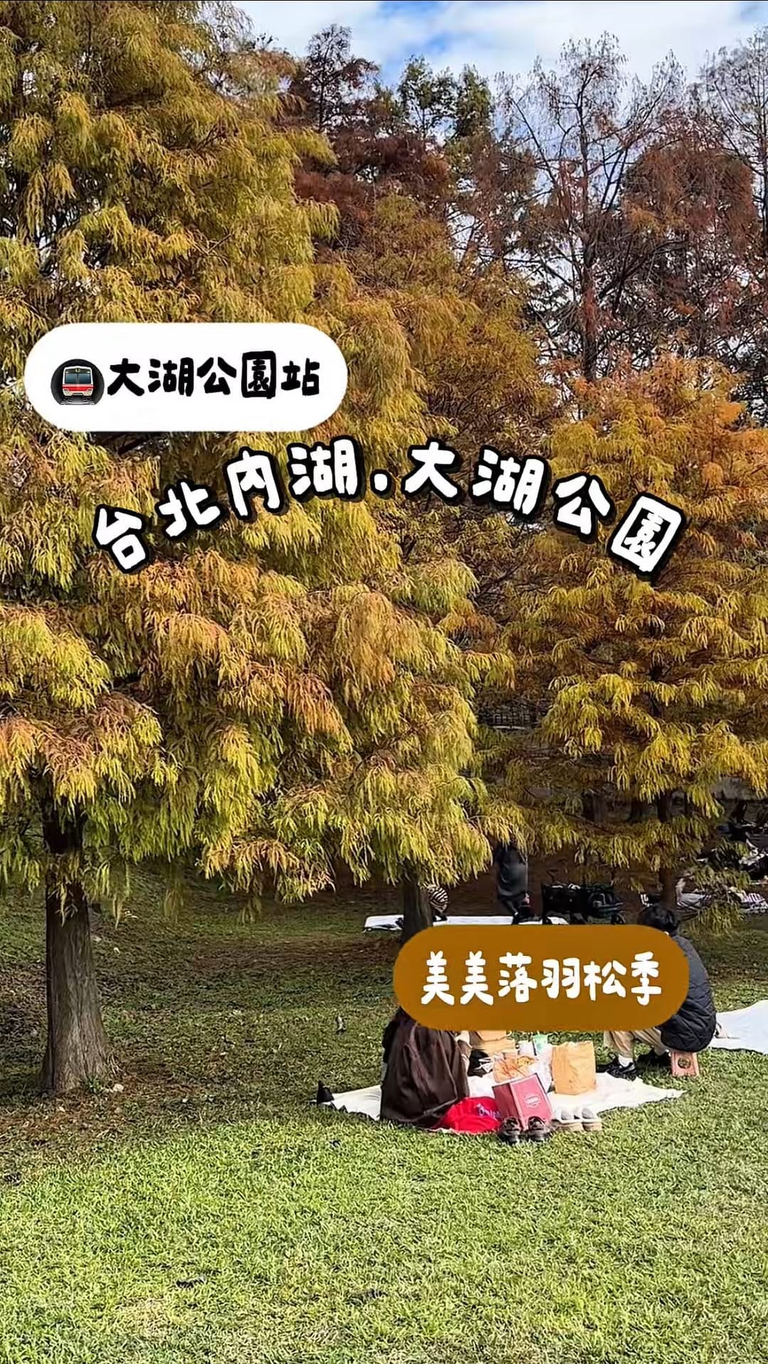 Post 7 by 樂芙🍳｜台北新北美食｜旅遊生活 on Instagram (video)