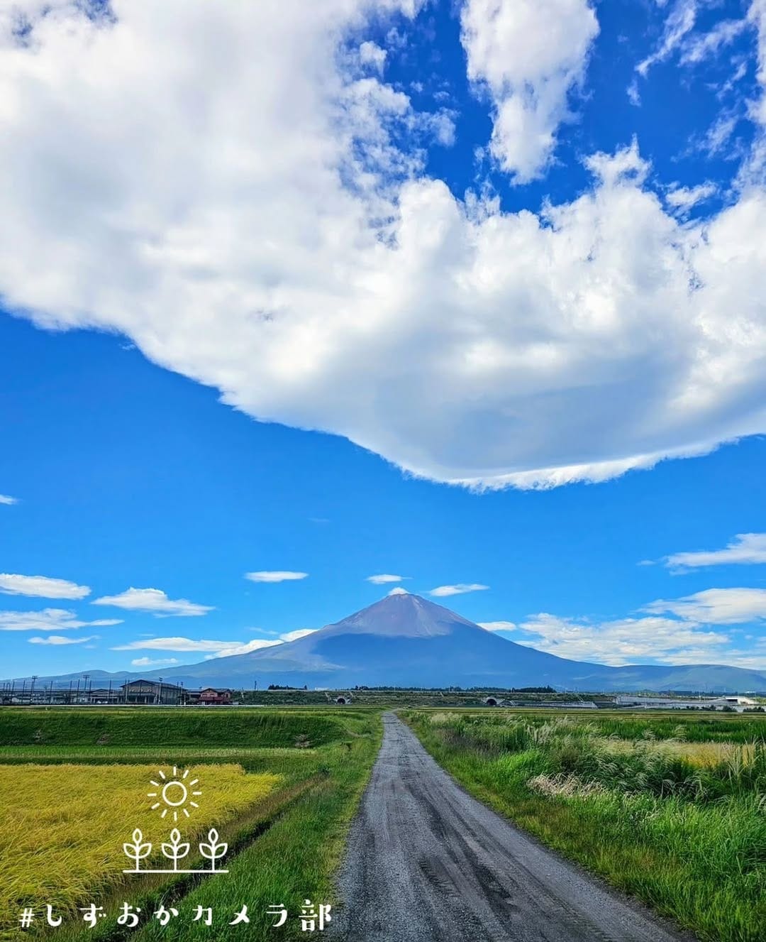 Post 9 by しずおかカメラ部⌇写真で伝える静岡の魅力🍊 on Instagram (image)