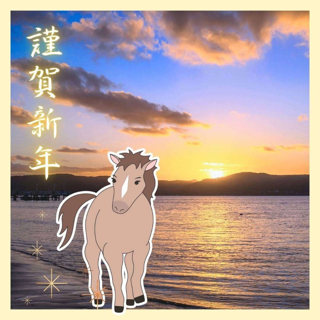Post 6 by 杉野綿業株式会社（SGN online shop） on Instagram (image)
