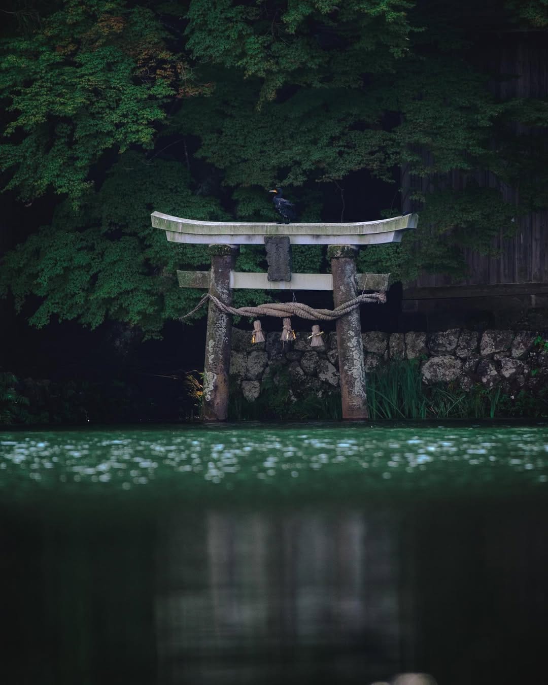 Post 10 by Mai on Instagram (image)