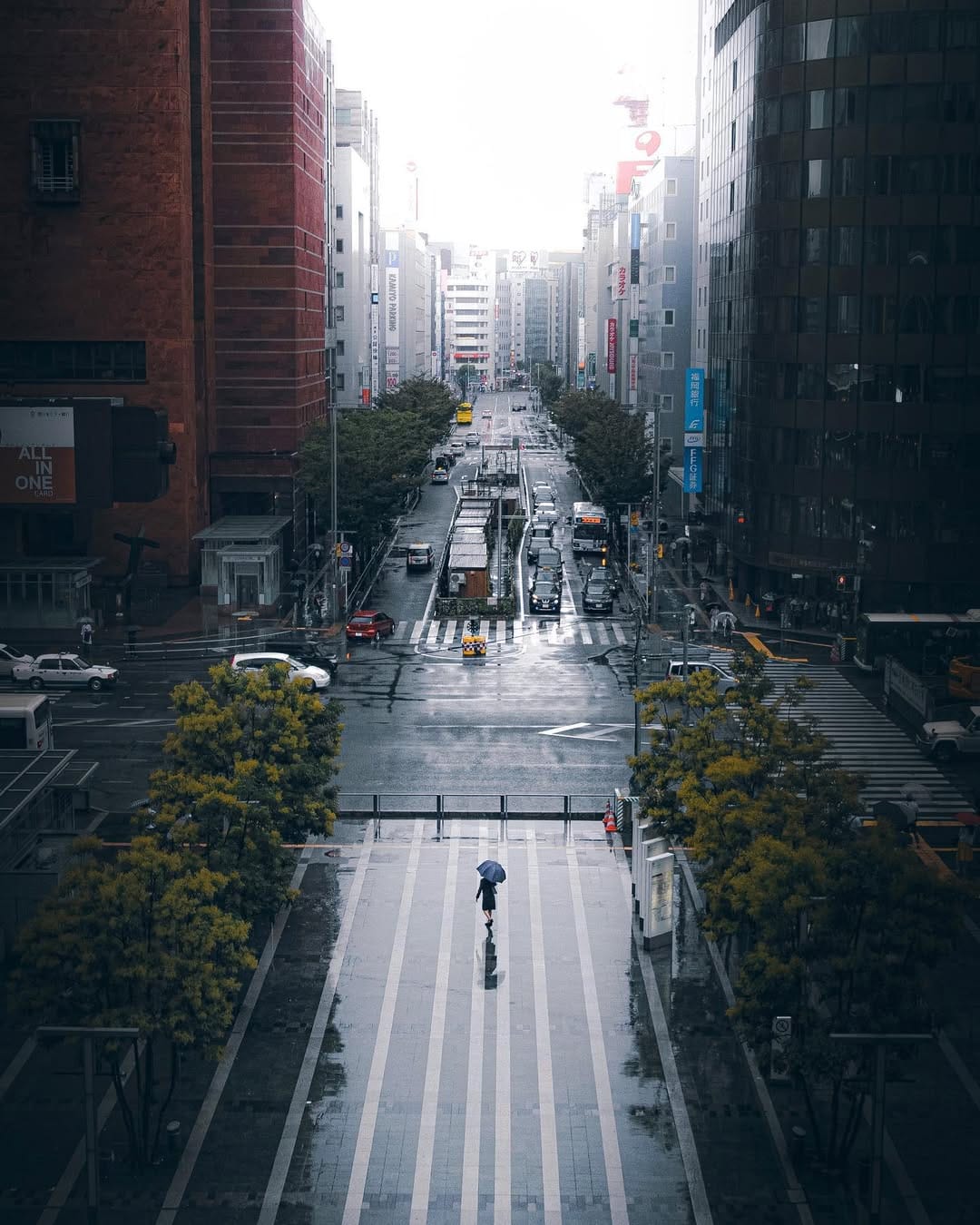 Post 9 by Mai on Instagram (image)
