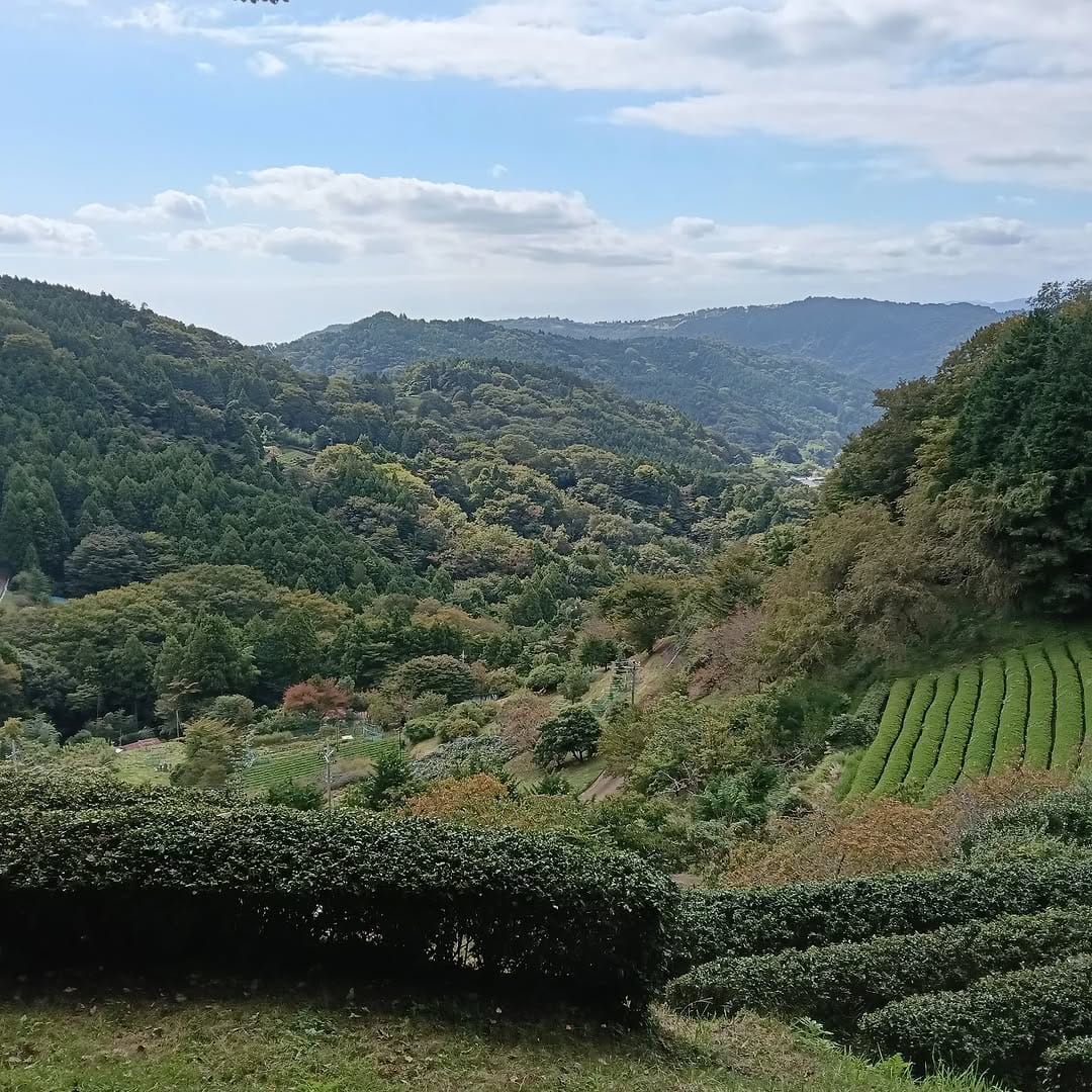 Post 7 by 寄 ロウバイまつり 松田町 on Instagram (image)