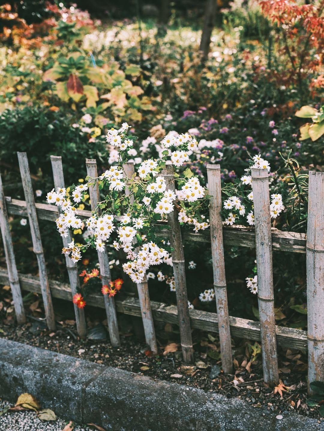 Post 9 by しんたろー / 日常写真の人 on Instagram (image)