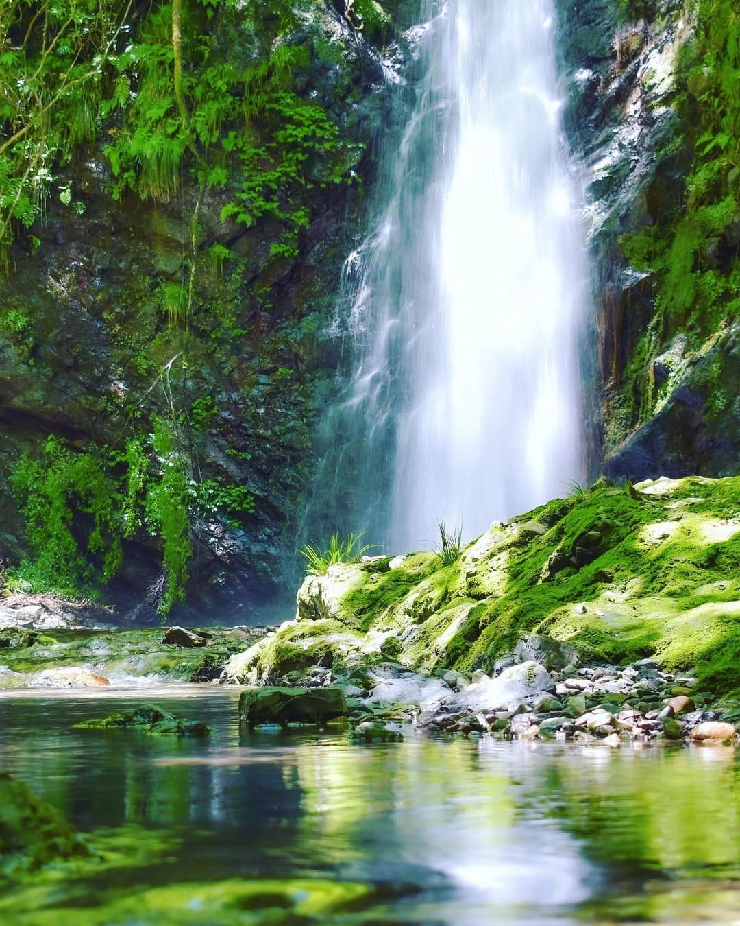 Post 8 by 高知県 四万十町 on Instagram (image)