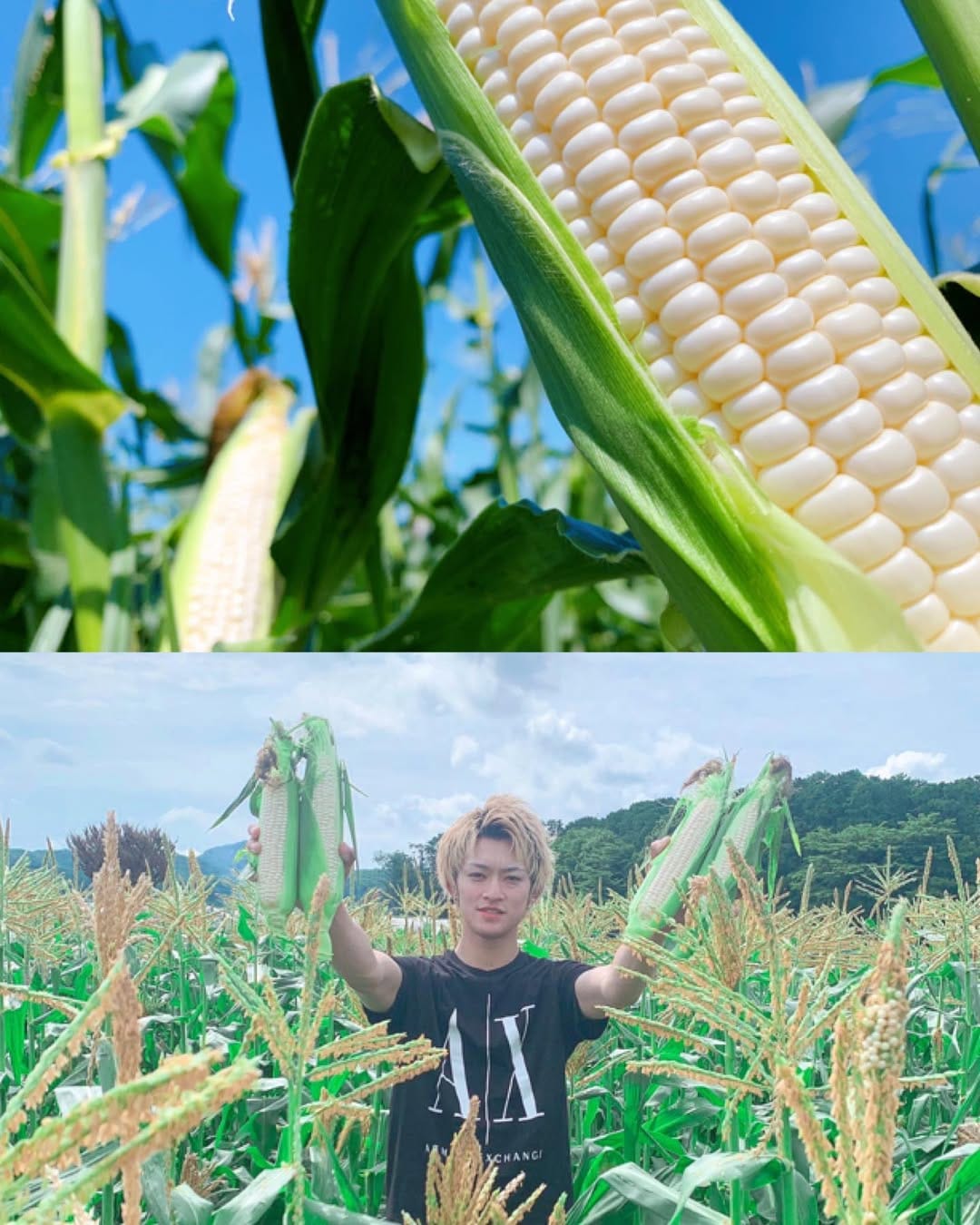 Post 10 by YB.DRAGON Farm🌽トウモロコシ王子👑美白の甘姫💕 on Instagram (image)