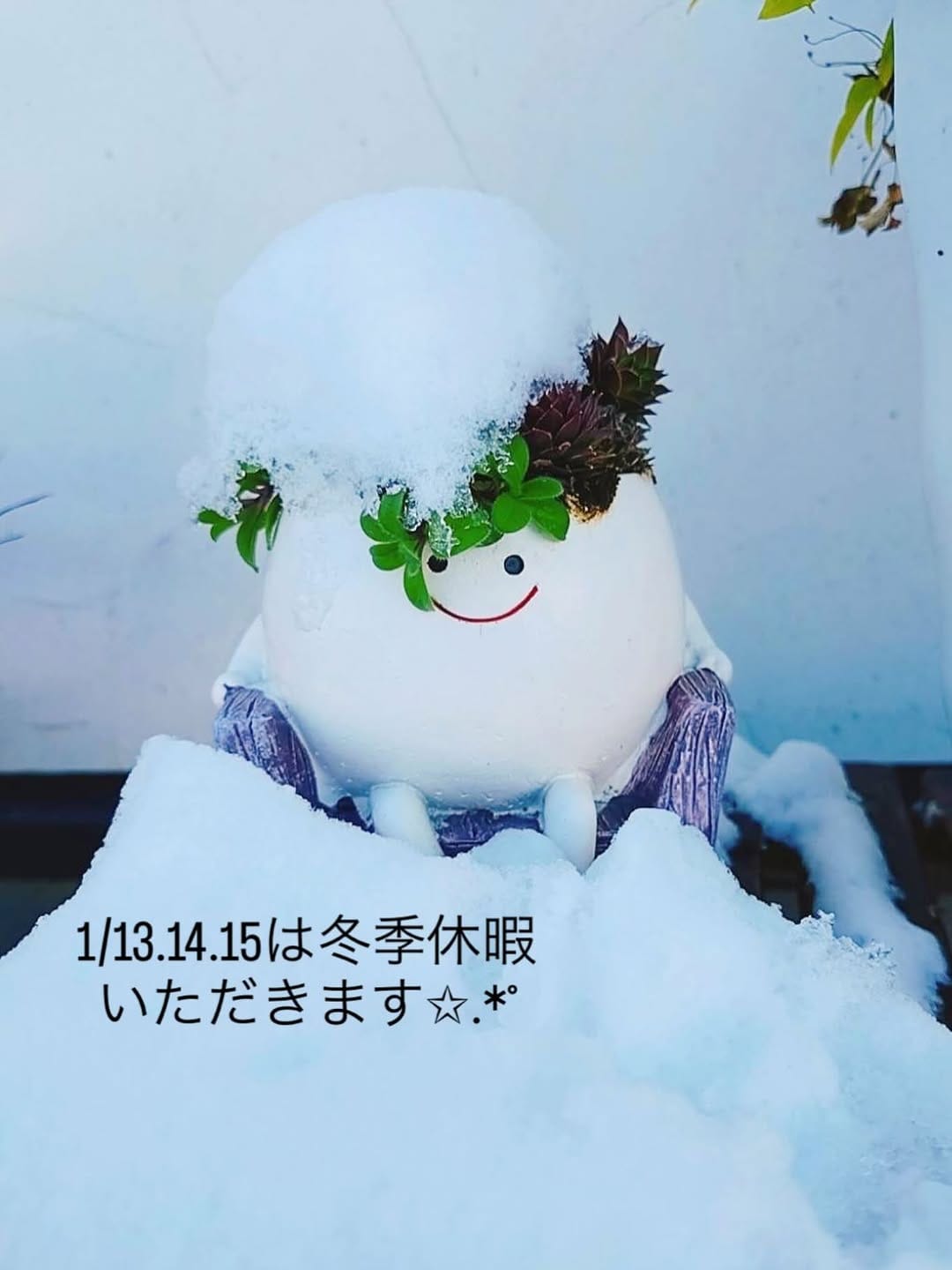 Post 5 by KOGETSU...Ｍay... on Instagram (image)