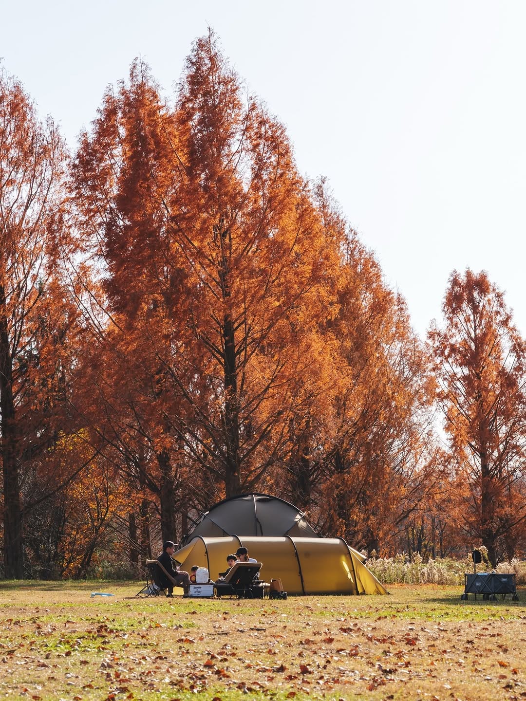 Post 7 by ケンコハ /キャンプと写真 on Instagram (image)