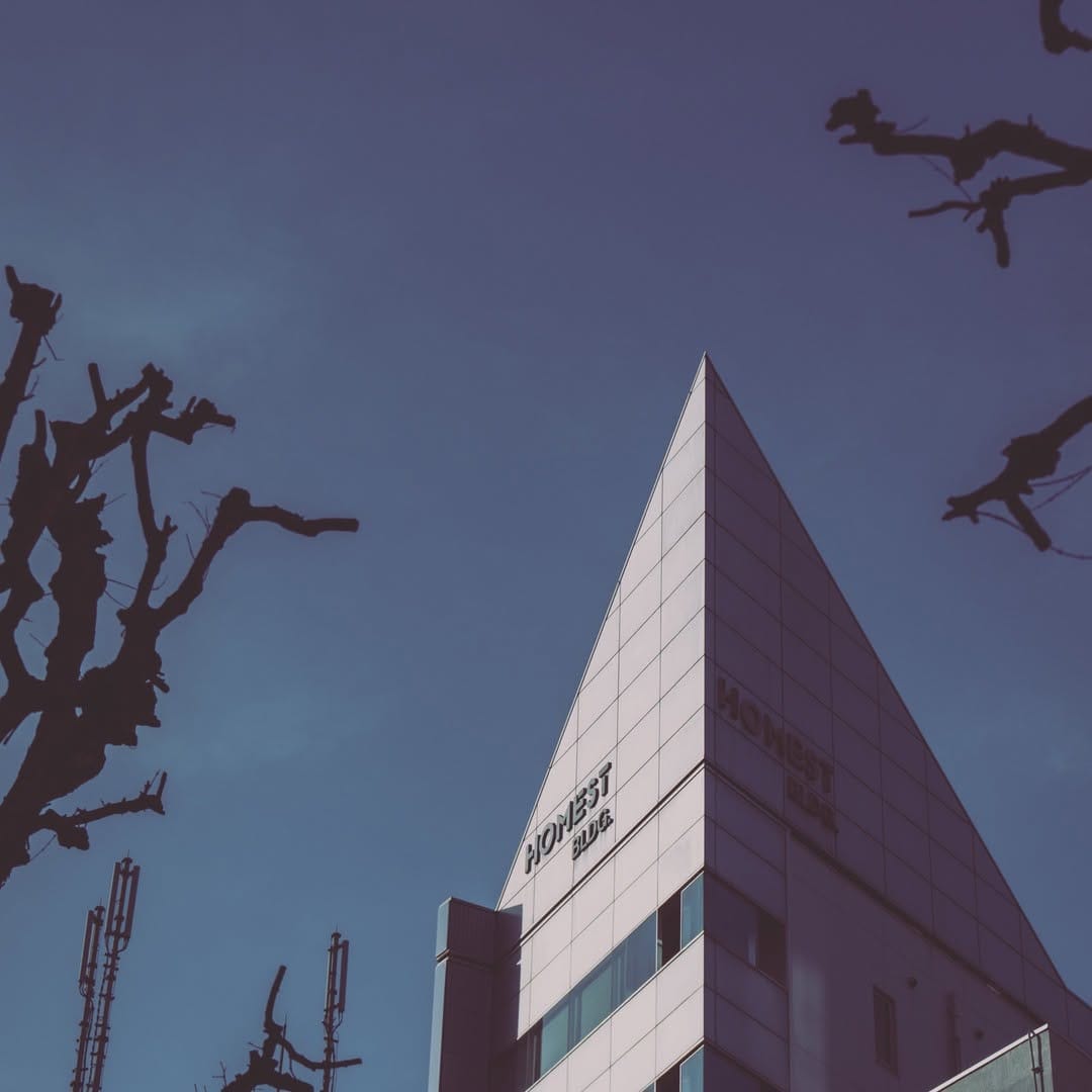 Post 10 by niki smeets on Instagram (image)