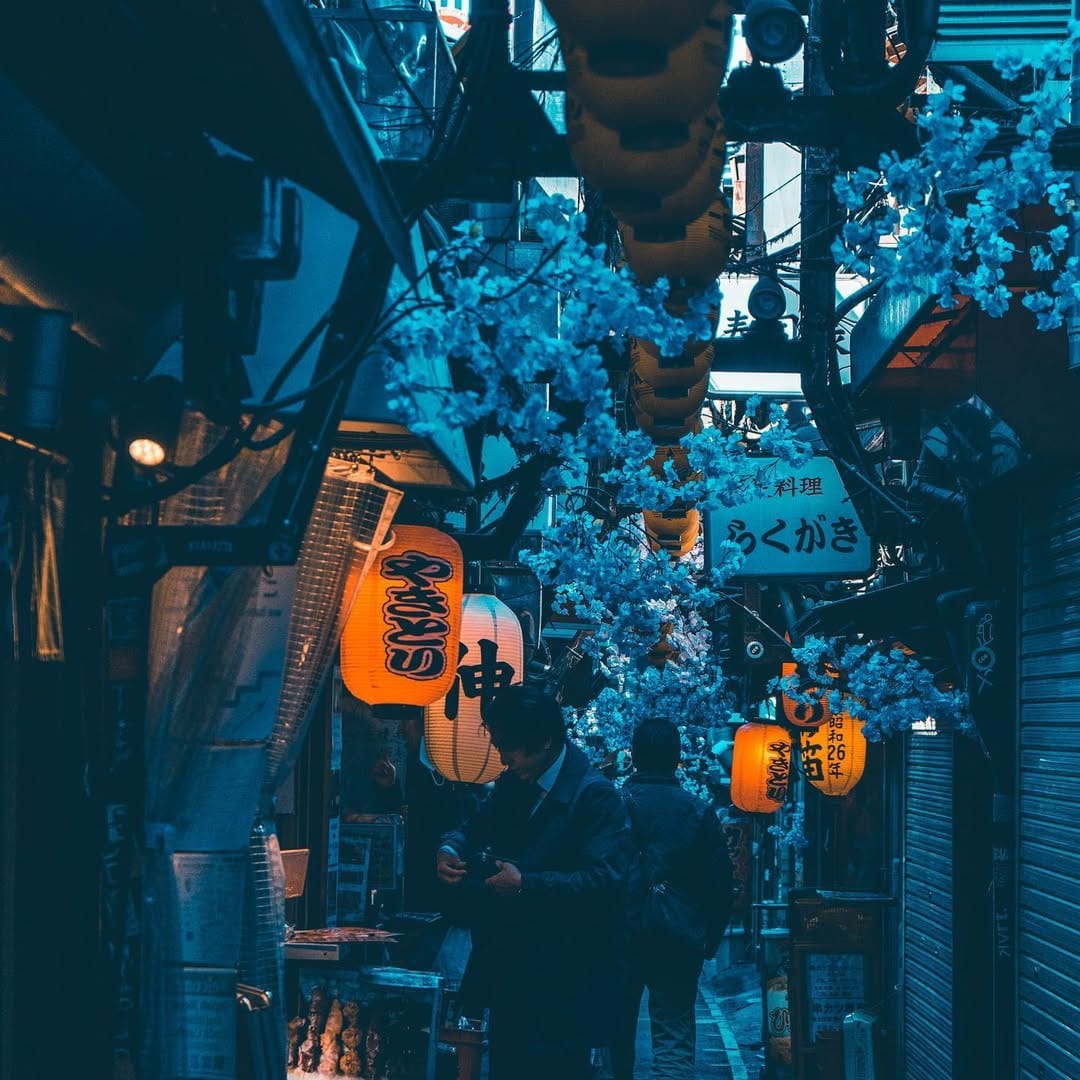 Post 6 by niki smeets on Instagram (image)