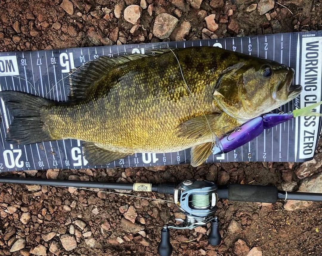 Post 10 by Swimbait Canada on Instagram (image)