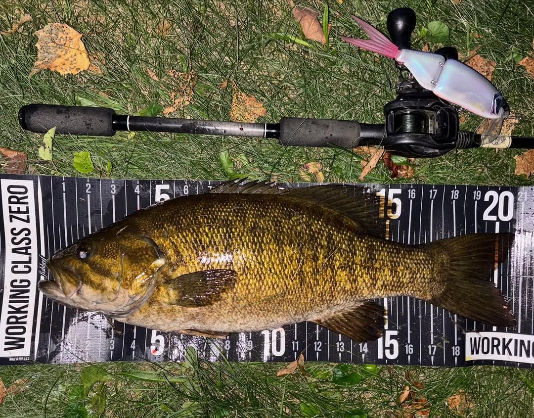 Post 2 by Swimbait Canada on Instagram (image)