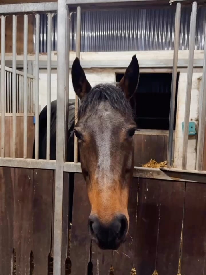 Post 6 by -𝐘𝐚𝐧𝐧𝐢𝐜𝐤- on Instagram (carousel)