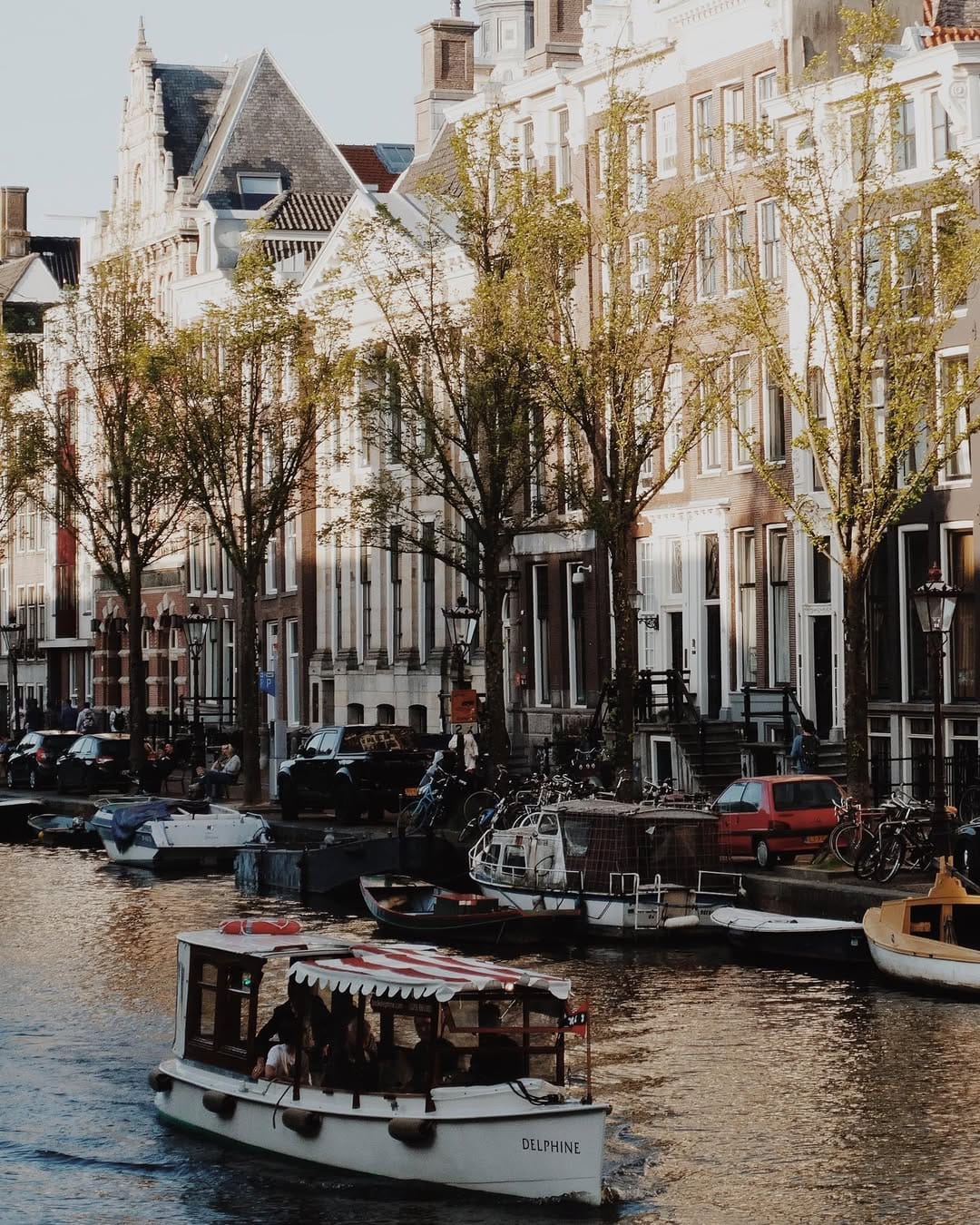 Post 4 by Amster GRAM on Instagram (image)